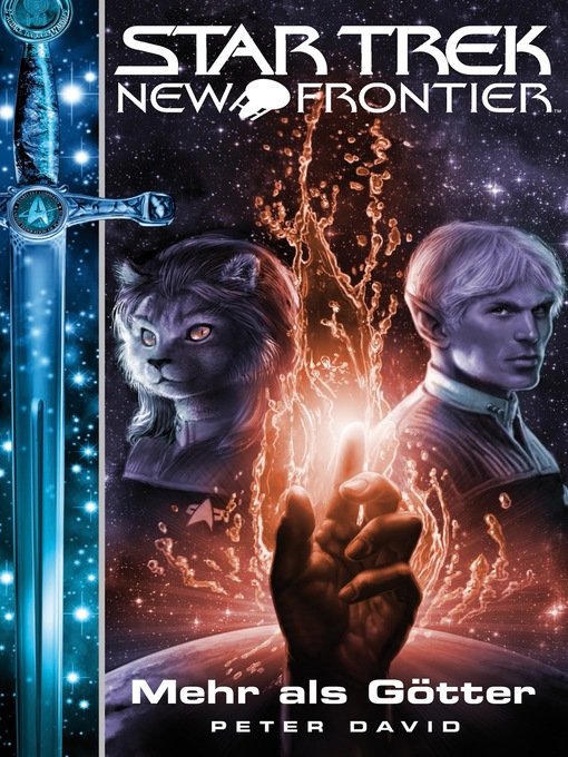 Title details for Star Trek--New Frontier 12 by Peter David - Wait list